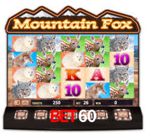 bet60